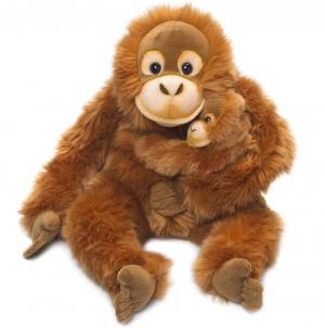 Orangutang med baby - WWF (Världsnaturfonden)